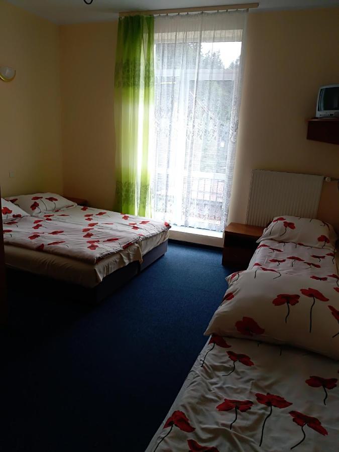 Osrodek Wypoczynkowy Ognisko Hotel Krynica-Zdrój Exterior foto
