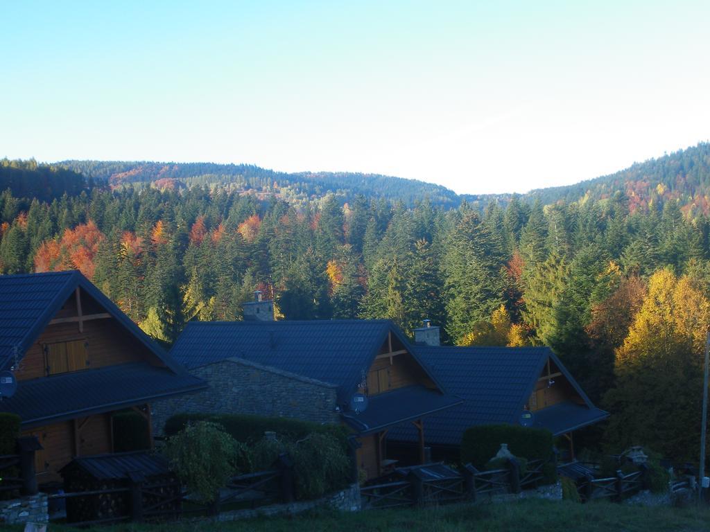 Osrodek Wypoczynkowy Ognisko Hotel Krynica-Zdrój Exterior foto